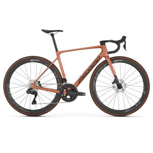 MEGAMO RAISE 05 CW 2026 2