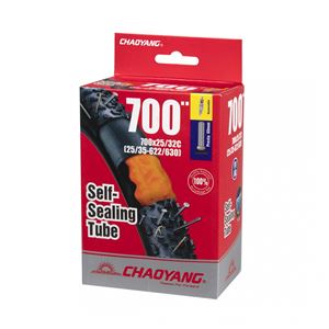 CÁMARA SELLANTE 700X25/32C FV 60MM CHAOY