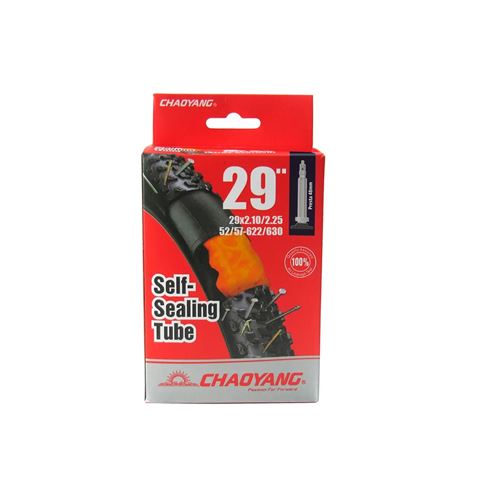 SELLANTE SMARA 29X2,10/2,25 FV 48MM CHAOYANG