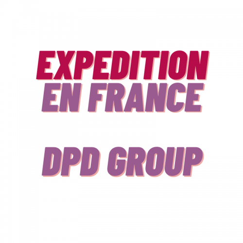 EXPEDITION IN FRANCE