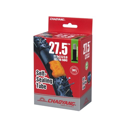 CÁMARA CHAOYANG ANTIPINCHAZ 27.5 X 2.50 / 3.00 SCHRADER 48MM
