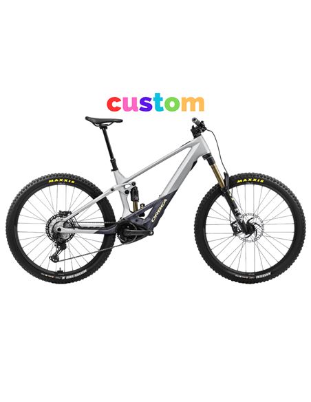 Orbea Wild M-TEAM 2024