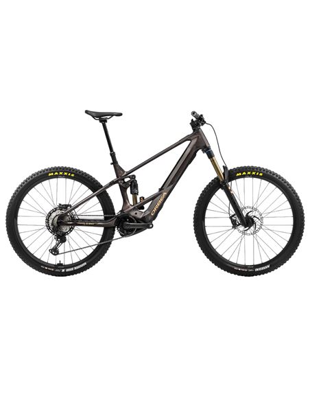 Orbea Wild M-TEAM 2024