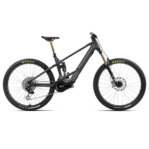 Orbea Wild M-LTD 2024 2