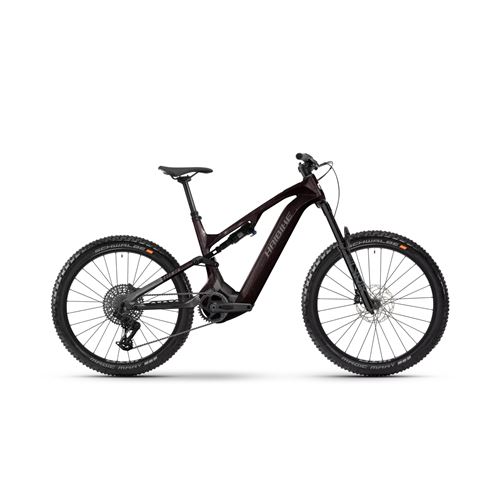 HAIBIKE ALLMTN CF 9 2025