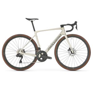 megamo-raise-05-2026-silver-ash.png