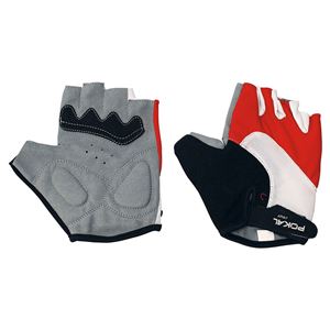 GANTS ARI POKAL