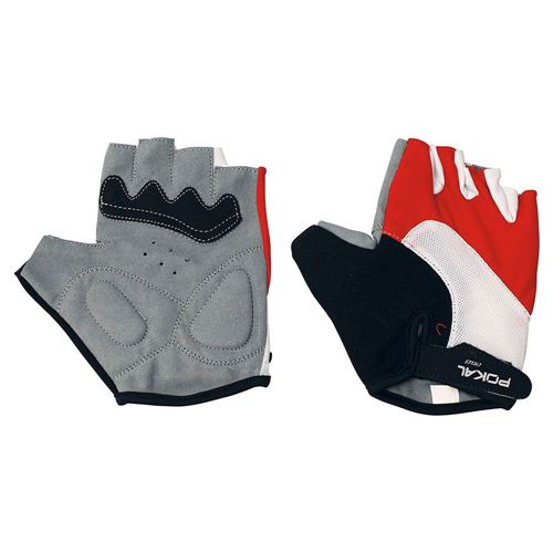 GANTS ARI POKAL