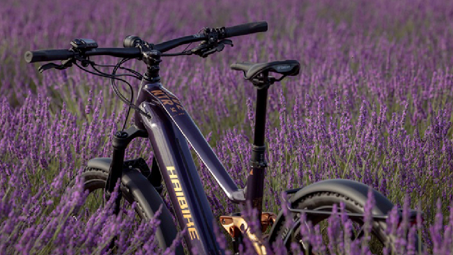 Vélos électriques de la marque Haibike