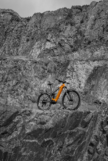 mondraker chaser