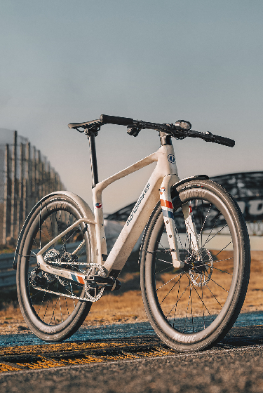 mondraker dusty