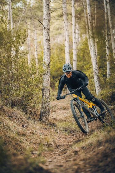 mondraker foxy