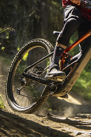 orbea wild